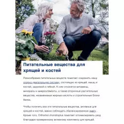 Orthomol ArthroPlus (порошок+капсулы) Суставы, связки