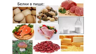 shutterstock