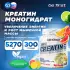 Creatine Micronized Powder (креатин моногидрат) Цитрусовый микс, 300 г