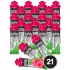 Go Energy + Electrolyte Gels Малина, 21 x 60 мл + электролиты