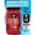 Amino-X 2:1:1 Фруктовый пунш, 435 г